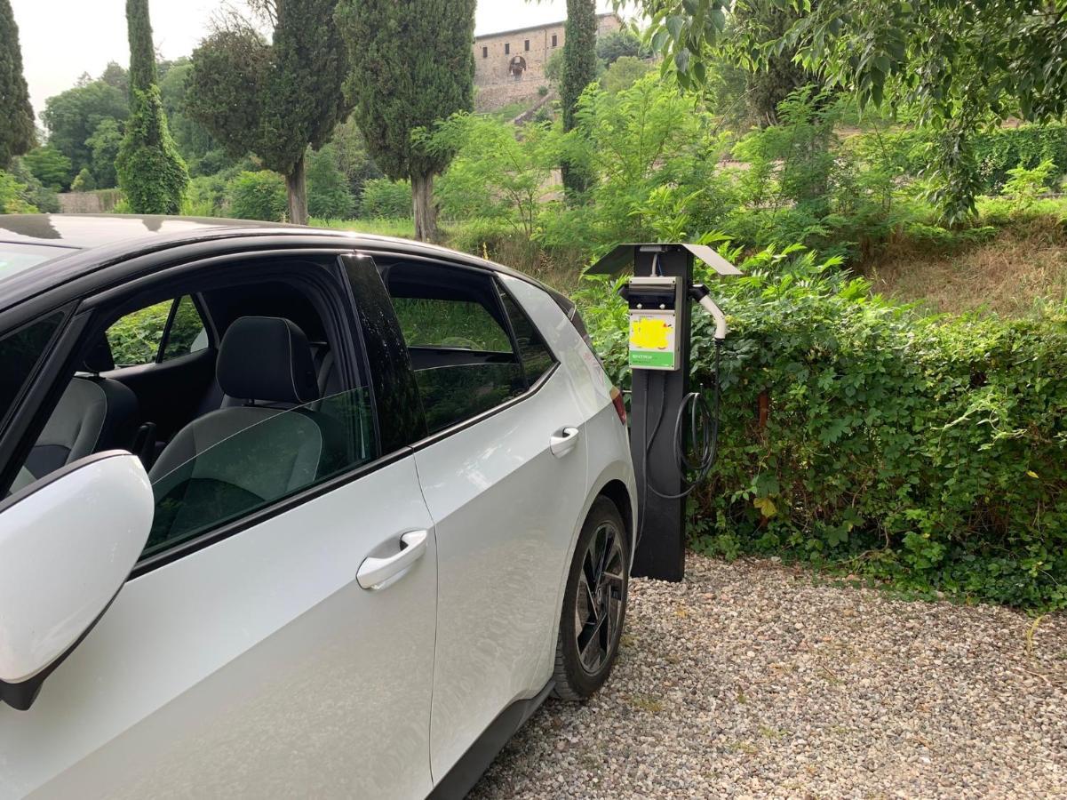 L'Isolo B&B E Case Vacanza Monzambano Exteriör bild