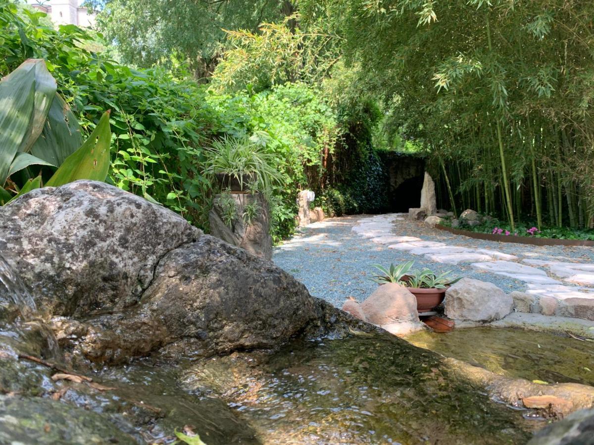 L'Isolo B&B E Case Vacanza Monzambano Exteriör bild
