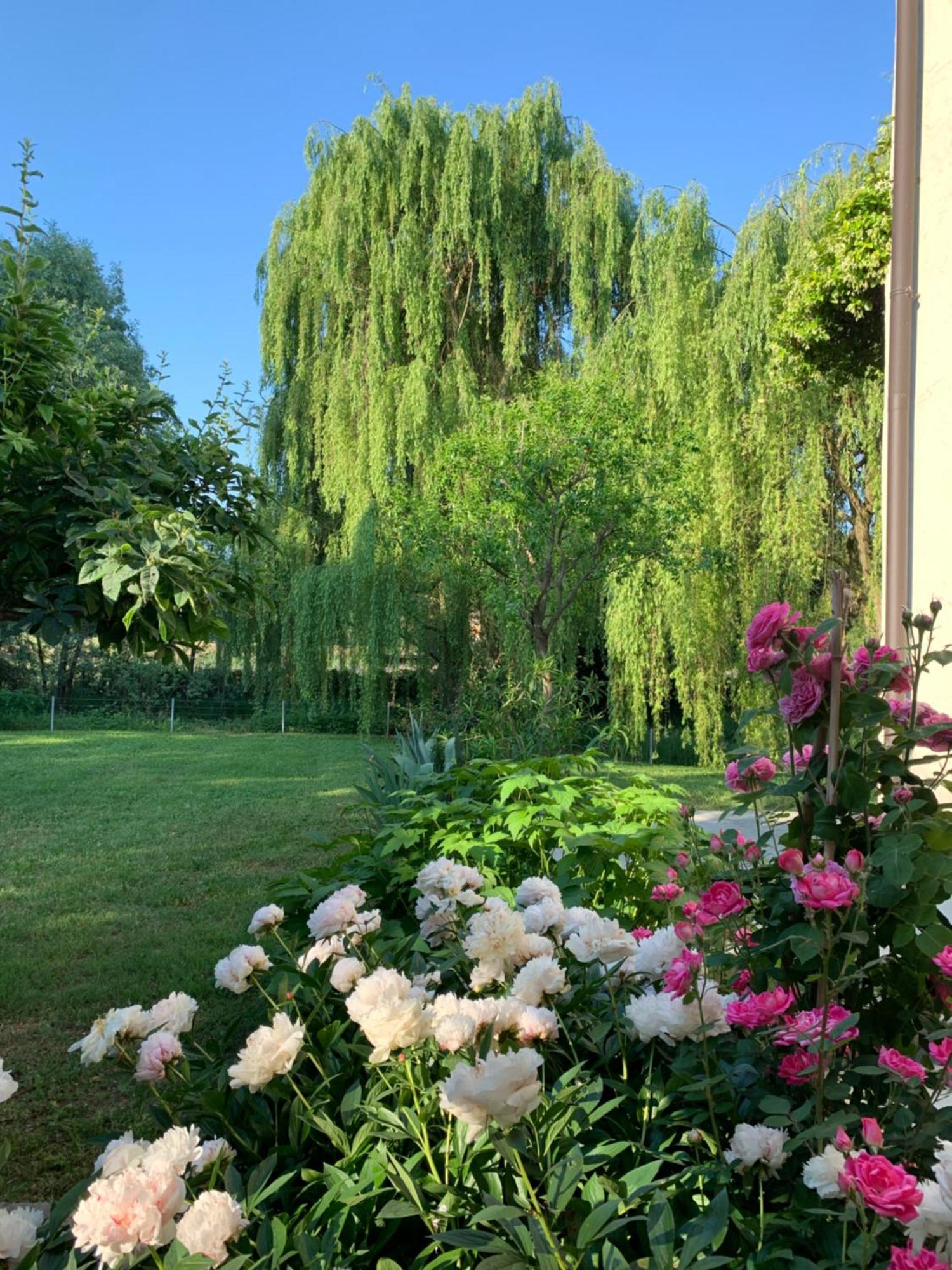 L'Isolo B&B E Case Vacanza Monzambano Exteriör bild